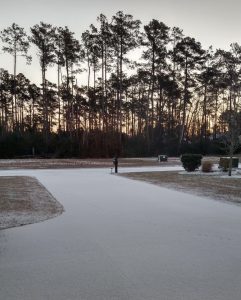 Picture of a front yard forest and iced over grass/driveway.