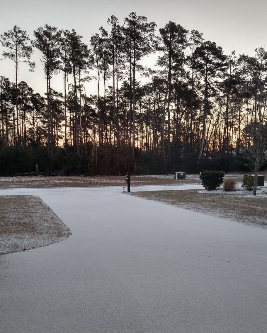 Picture of a front yard forest and iced over grass/driveway.