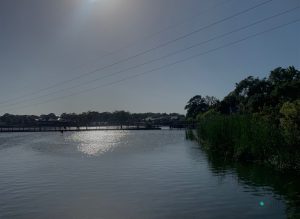 Barefoot Landing water with boardwalk on a summer day.